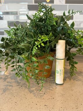 DILLPICKY - KEY LIME LIP GLOSS